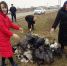 В преддверие празднования Международного женского дня в Хасавюртовском районе провели масштабный субботник. - Администрация Хасавюртовского района
