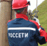 «Россети Северный Кавказ» ведет активную подготовку к осенне-зимнему периоду в Дагестане - Газета Вести Хасавюртовского района
