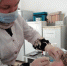 В Хасавюртовском районе продолжается вакцинация и ревакцинация населения - Администрация Хасавюртовского района