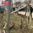 В Хасавюрте очередное ДТП и очередное разрушение конструкций объектов реконструированных в рамках федеральных программ по созданию комфортной городской среды на общественных территориях. - Администрация МО г. Хасавюрт