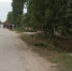 В Хасавюртовском районе продолжаются санитарно – экологические субботники - Администрация Хасавюртовского района