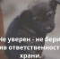 Памятка об ответственном обращении с животными - Администрация МО г. Хасавюрт