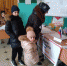 Избирательная кампания идет полным ходом: хасавюртовцы активно принимают участие в выборах - Газета Дружба
