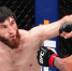 Магомед Анкалаев стал новым чемпионом UFC из Дагестана! - Газета Дружба