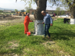 Весенний субботник в образовательных организациях.