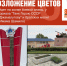 Афиша мероприятий по случаю празднования Дня Победы в Хасавюрте - Администрация МО г. Хасавюрт