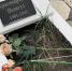 «День, когда началась война…» - Колледж сферы услуг