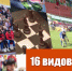 Уважаемые дагестанцы, любители спорта! - Газета Дружба