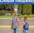 В Хасавюрте пройдет профилактическое мероприятие «Юный пешеход!» - Администрация МО г. Хасавюрт